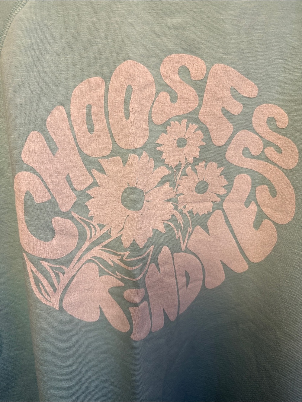 American Eagle Outfitters Light Mint Crewneck with White Graphic